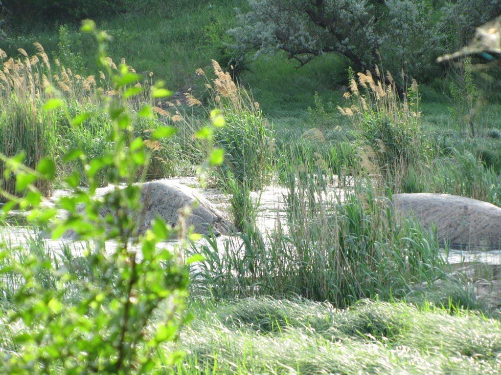 Вільне з panoramio.com - Вольное