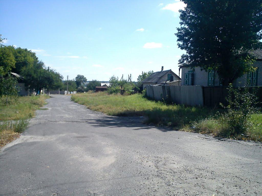 Новоселівка з panoramio.com - Новоселівка