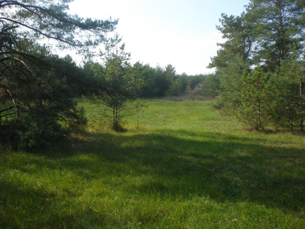 Великоолександрівка з panoramio.com - Великоолександрівка