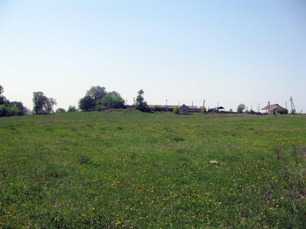 Трубіївка з panoramio.com - Трубіївка