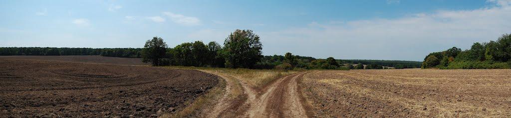 Гайдари з panoramio.com - Gaydary