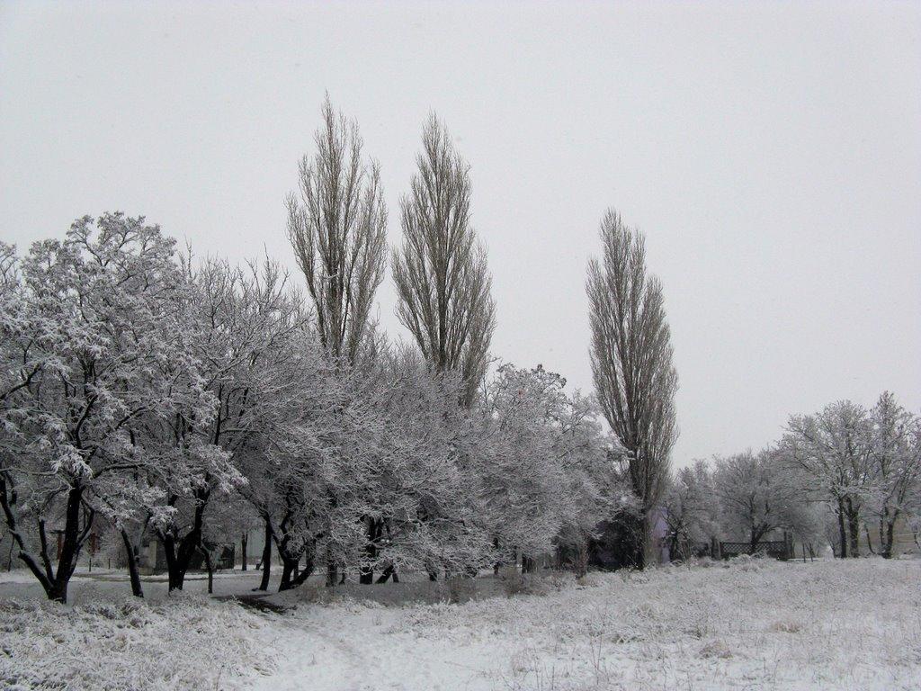 Шкільне з panoramio.com - Школьное