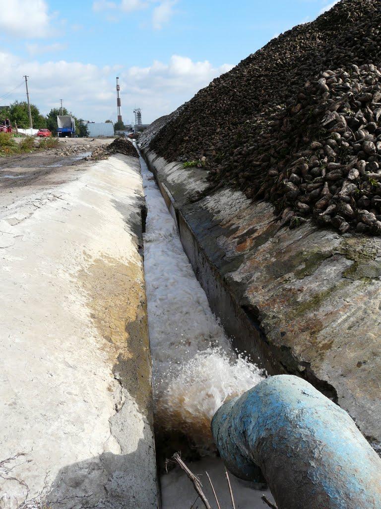 Городище-Пустоварівське з panoramio.com - Городище-Пустоваровское