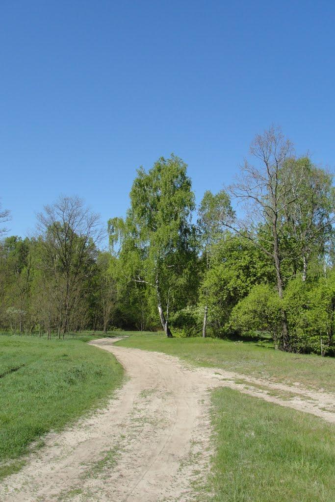 Яромель з panoramio.com - Яромель