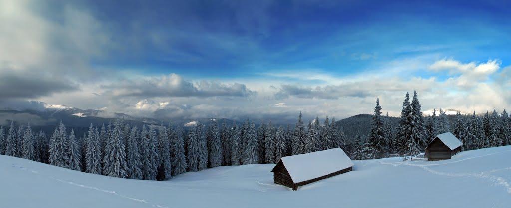 Вороненко з panoramio.com - Вороненко