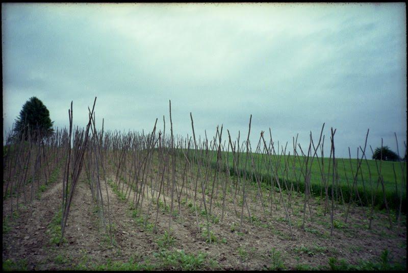 Кладнів з panoramio.com - Кладнів