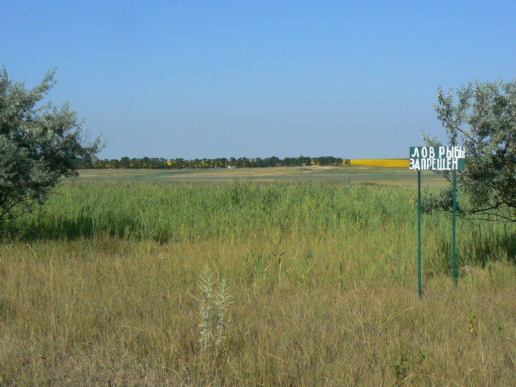 Бурлацьке з panoramio.com - Бурлацьке