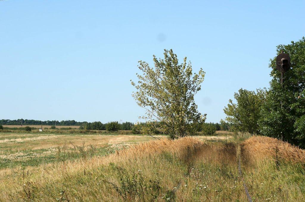 Андрушки з panoramio.com - Андрушки