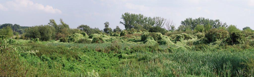 Амбуків з panoramio.com - Амбуків
