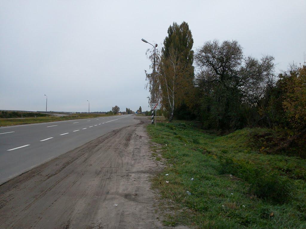 Кіпті з panoramio.com - Кіпті