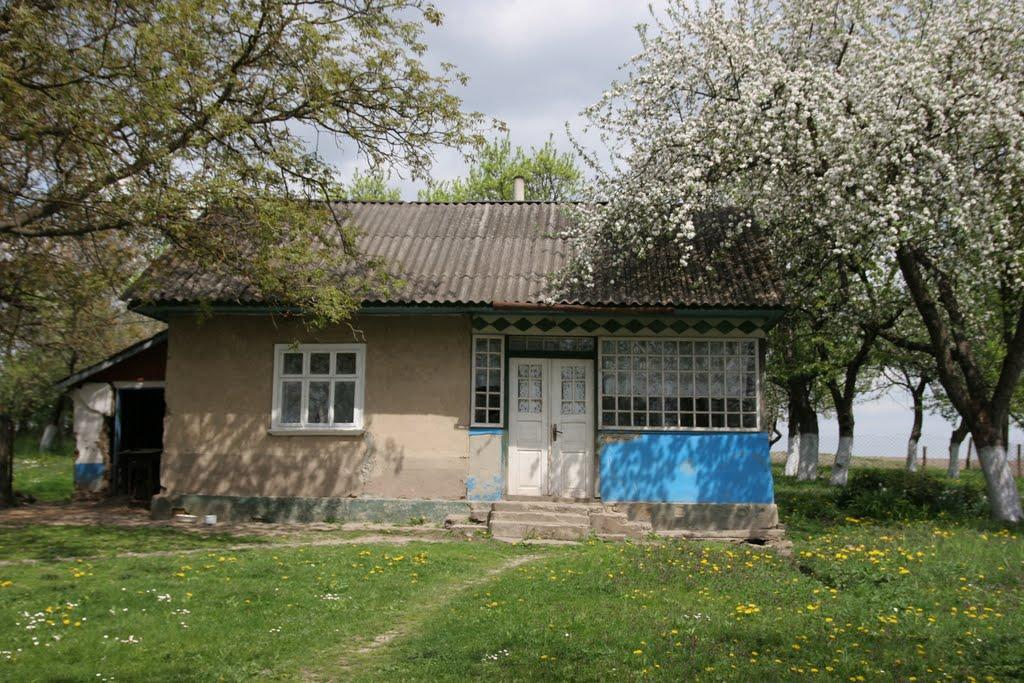 Рідківці з panoramio.com - Рідківці