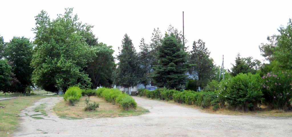 Журавки з panoramio.com - Журавки