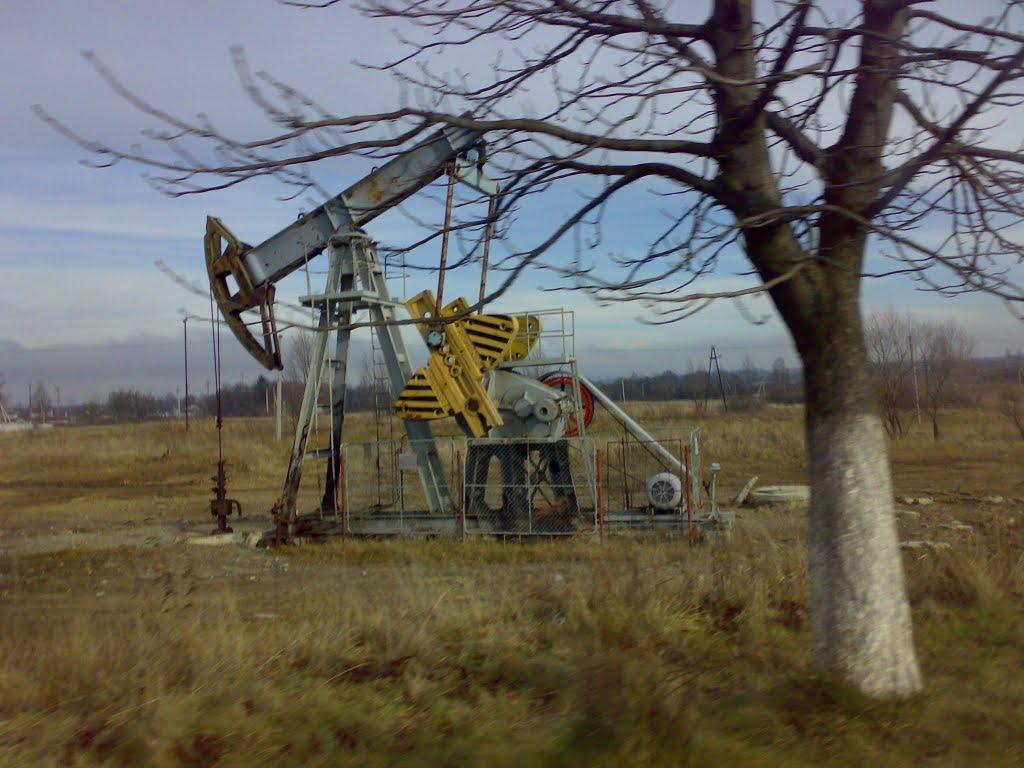 Долина з panoramio.com - Долина