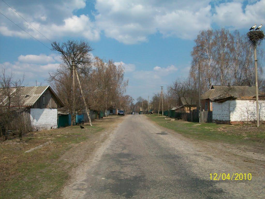 Стара Рудня з panoramio.com - Stara Rudnya