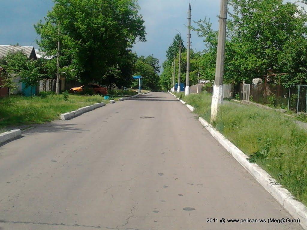 Миколаївка з panoramio.com (ч.2) - Николаевка