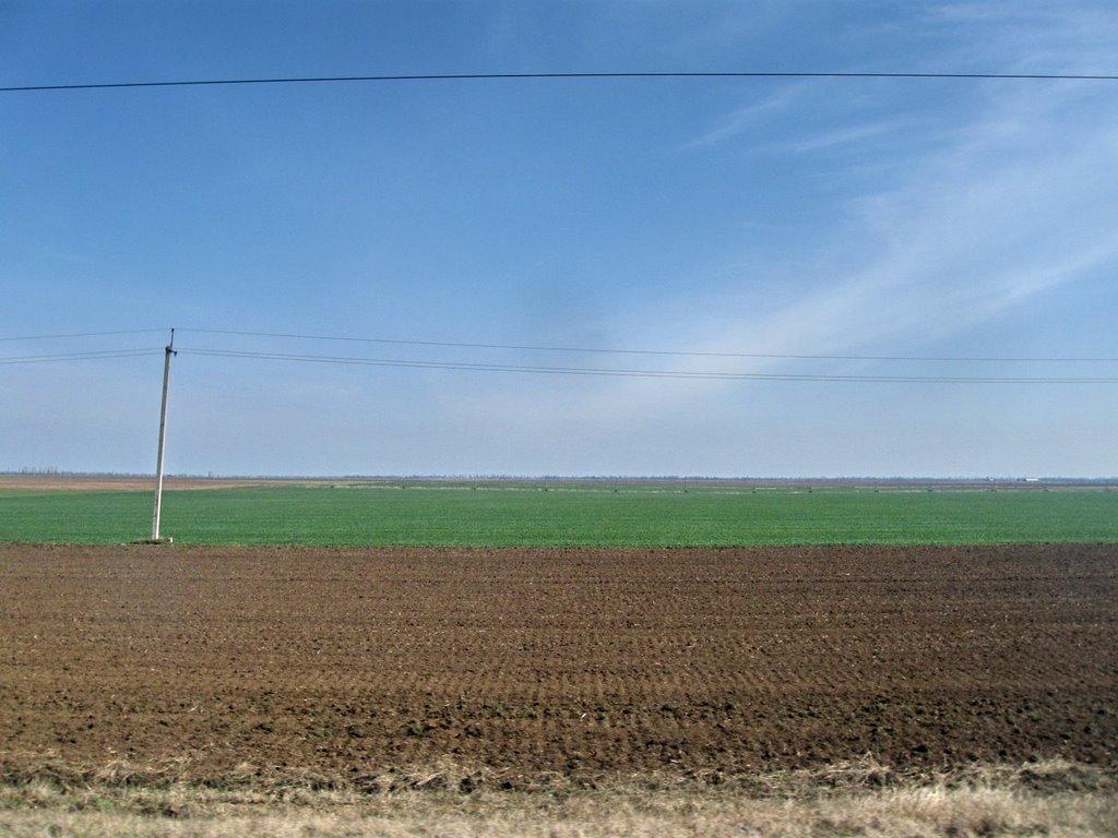 Новокам'янка з panoramio.com - Новокаменка