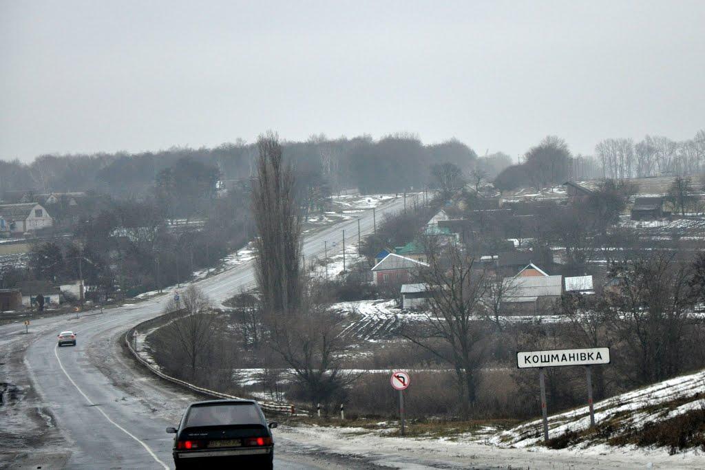 Кошманівка з panoramio.com - Кошманівка