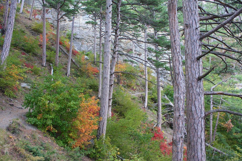 Високогірне з panoramio.com - Высокогорное