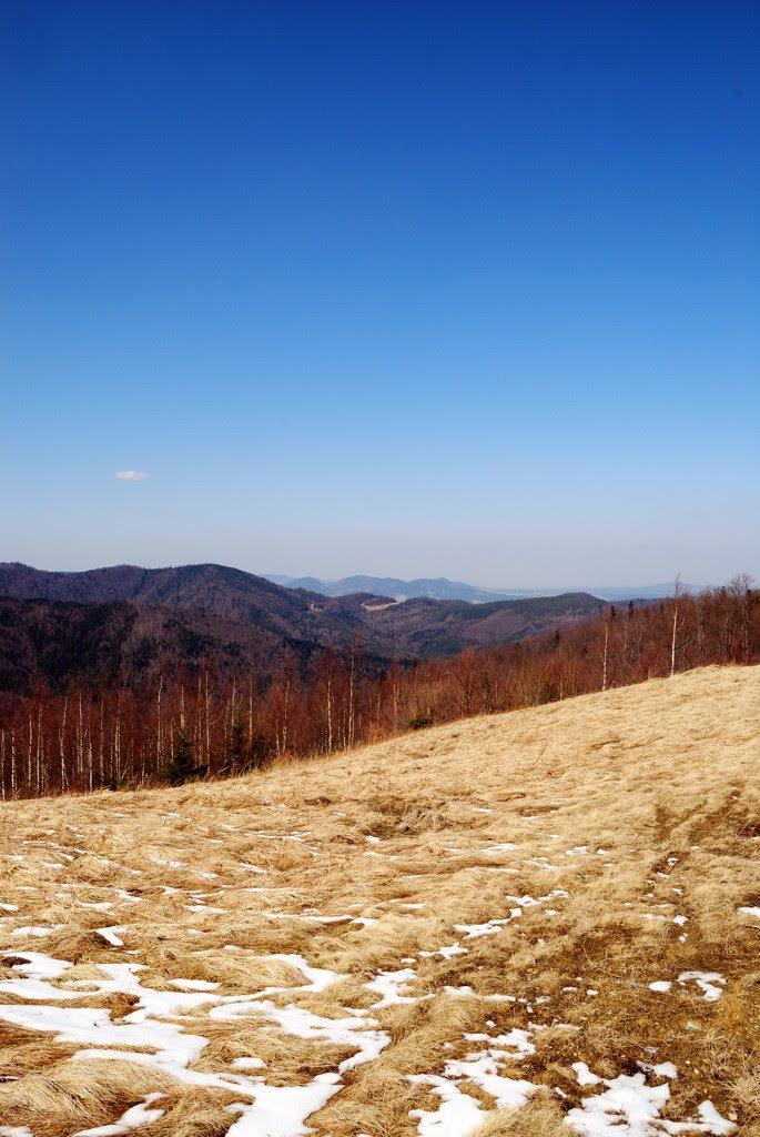 Букове з panoramio.com - Букове