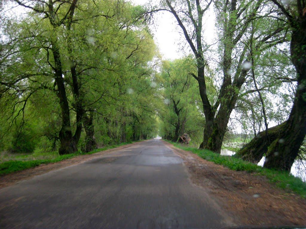 Селець з panoramio.com - Селец