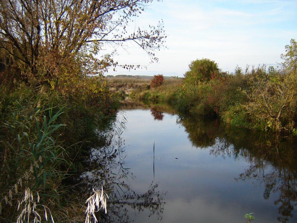 Новосілки з panoramio.com - Новосілки