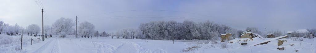 Хорішки з panoramio.com - Хорошки