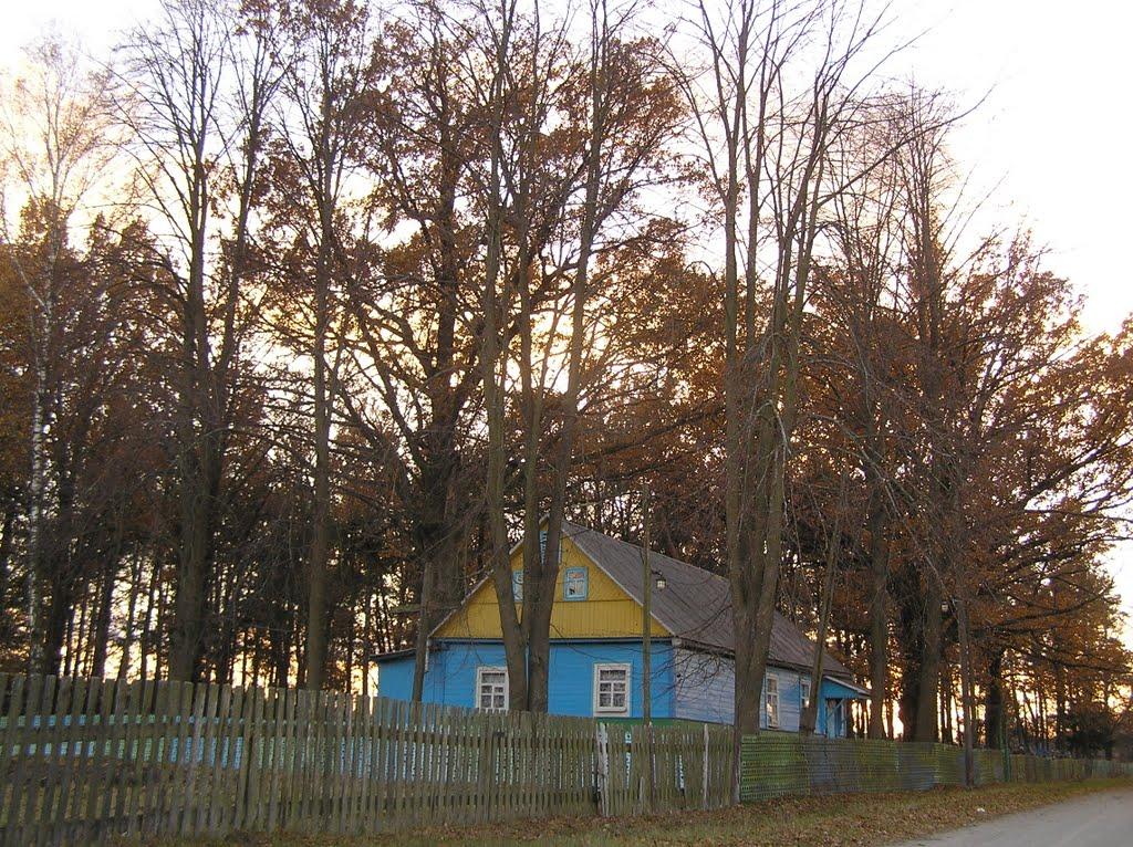 Ушиця з panoramio.com - Ушица