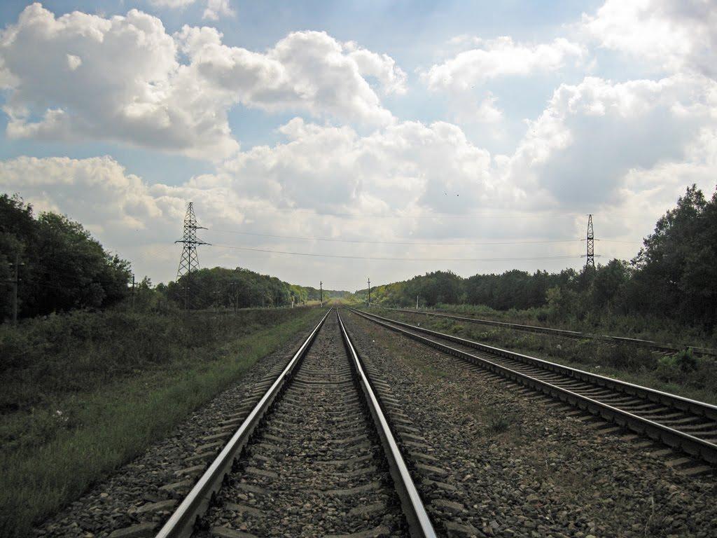 Петропавлівка з panoramio.com - Петропавловка