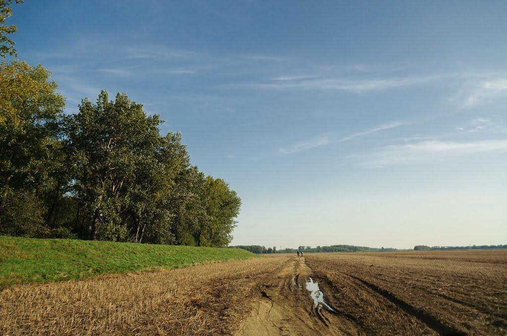 Розівка з panoramio.com (ч.2) - Розівка