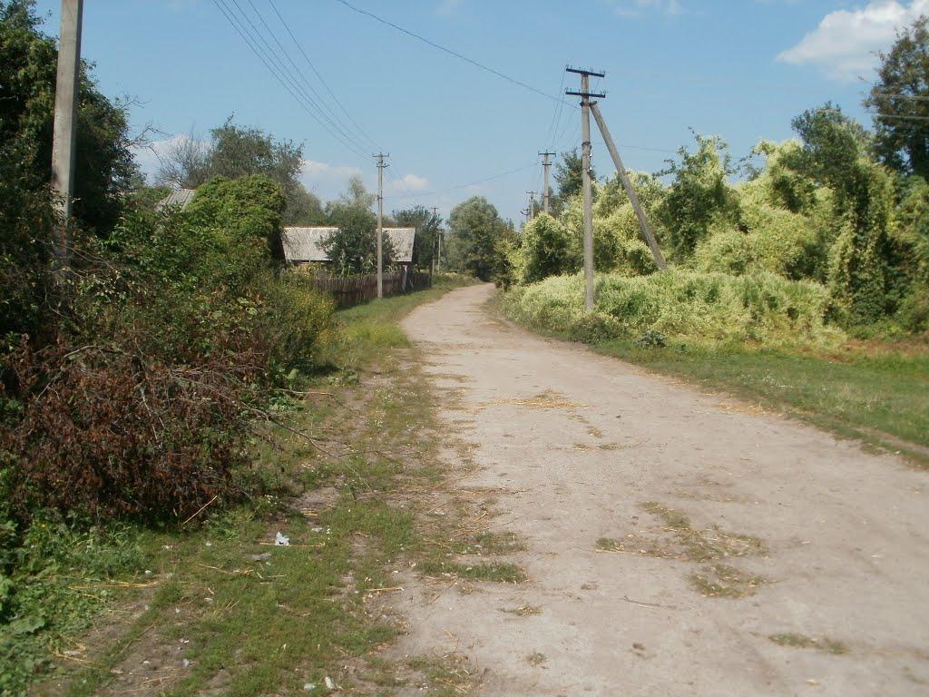 Чисті Лужі з panoramio.com - Чисті Лужі