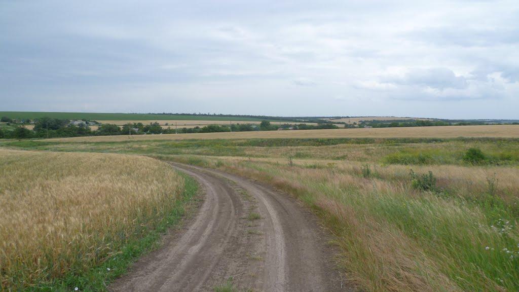 Олександро-Білівка з panoramio.com - Александро-Беловка
