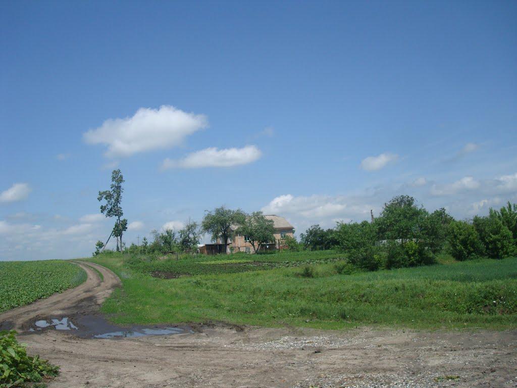 Черепова з panoramio.com