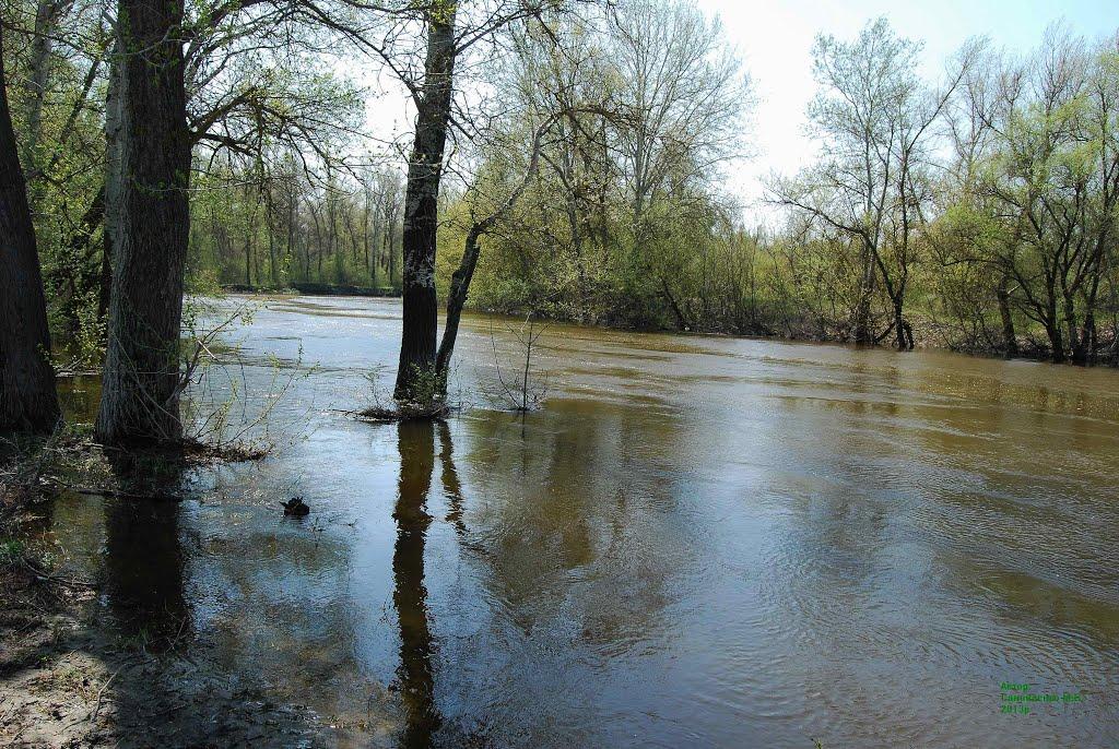 Говтва з panoramio.com - Говтва