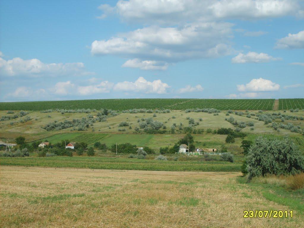 Сухувате з panoramio.com - Сухувате