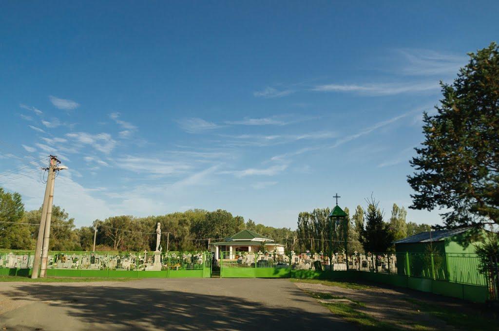 Розівка з panoramio.com (ч.2) - Розівка