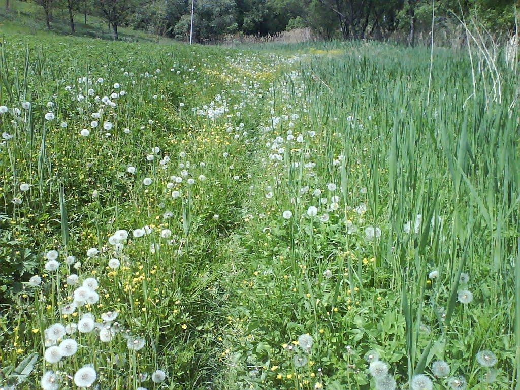 Макіївка з panoramio.com - Макіївка