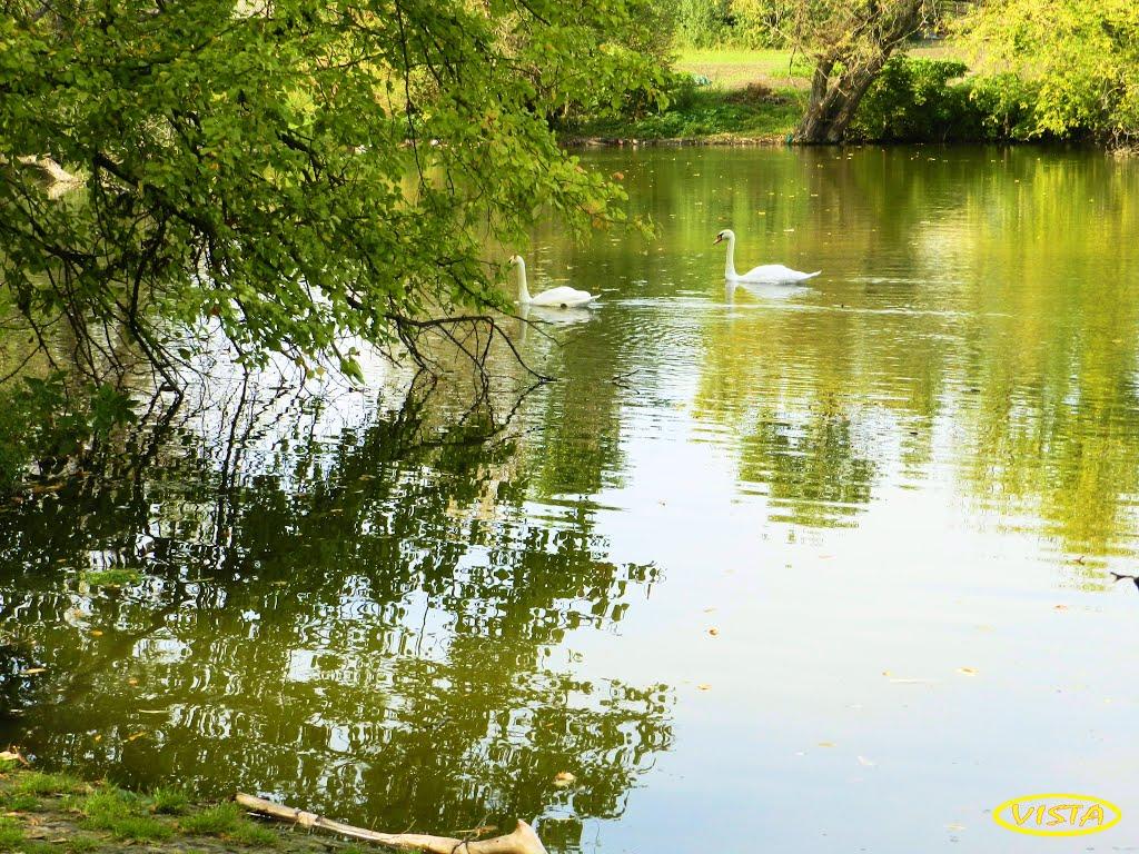 Комишуваха з panoramio.com - Комишуваха