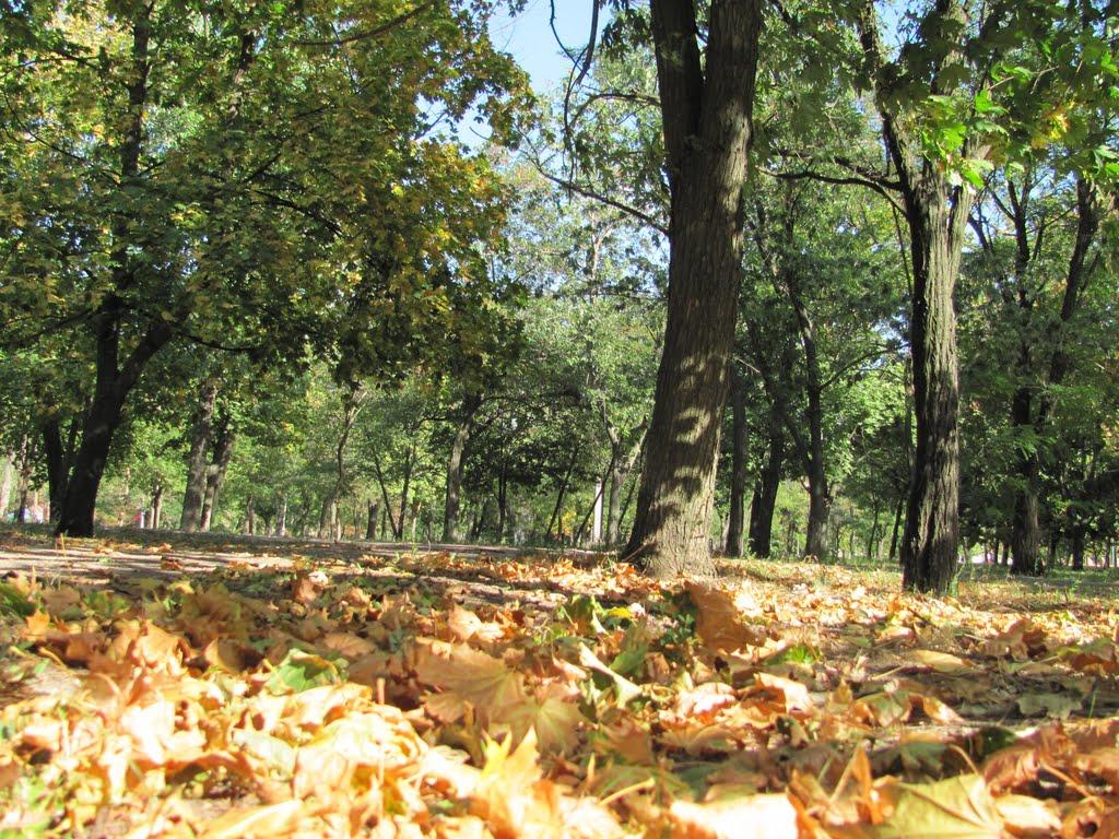 Нікополь з panoramio.com (ч.2) - Никополь