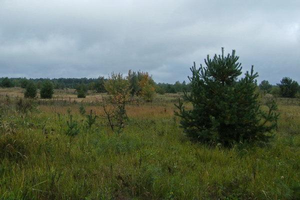 Гончарівське з panoramio.com - Гончарівське