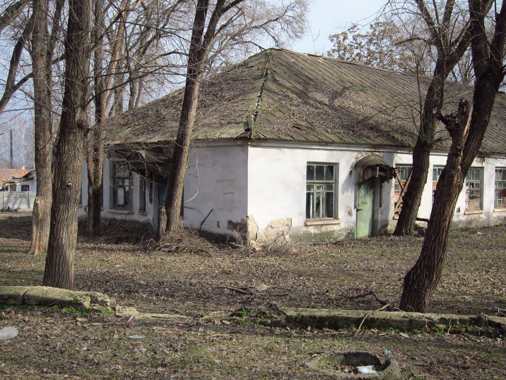 Тернуватий Кут з panoramio.com (ч.2) - Тернуватий Кут