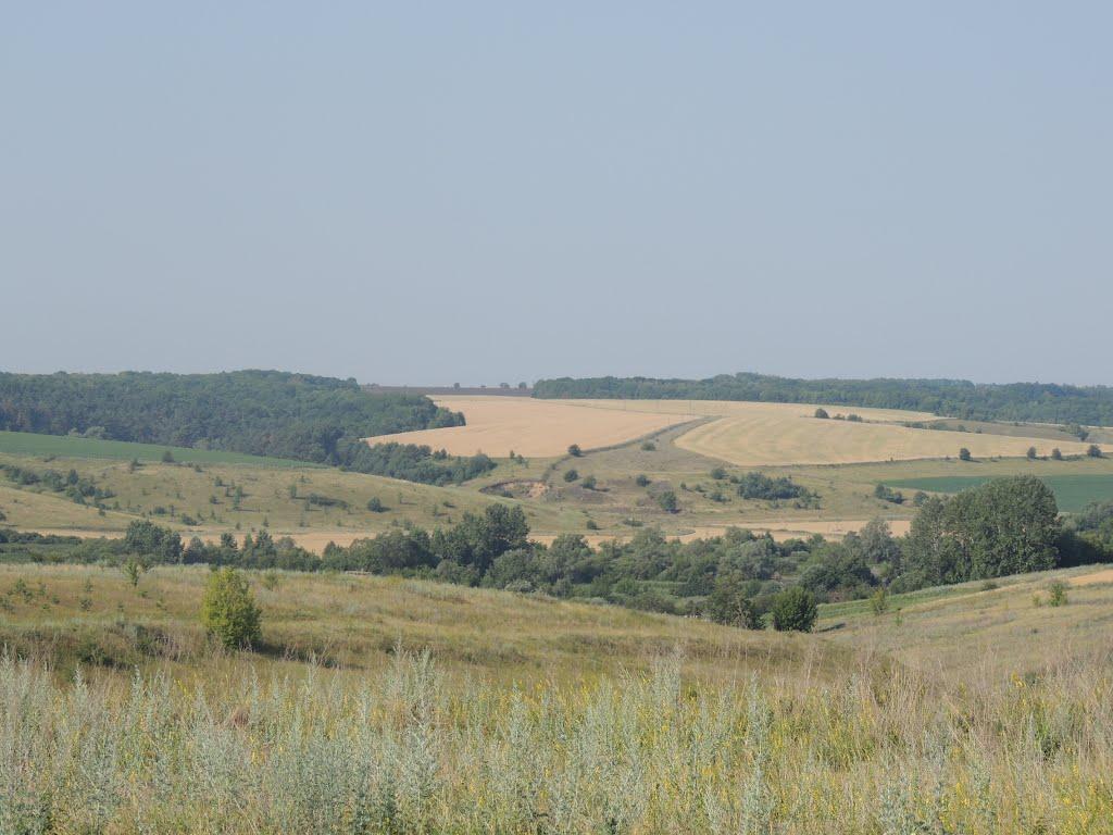 Олександрія з panoramio.com - Александрия