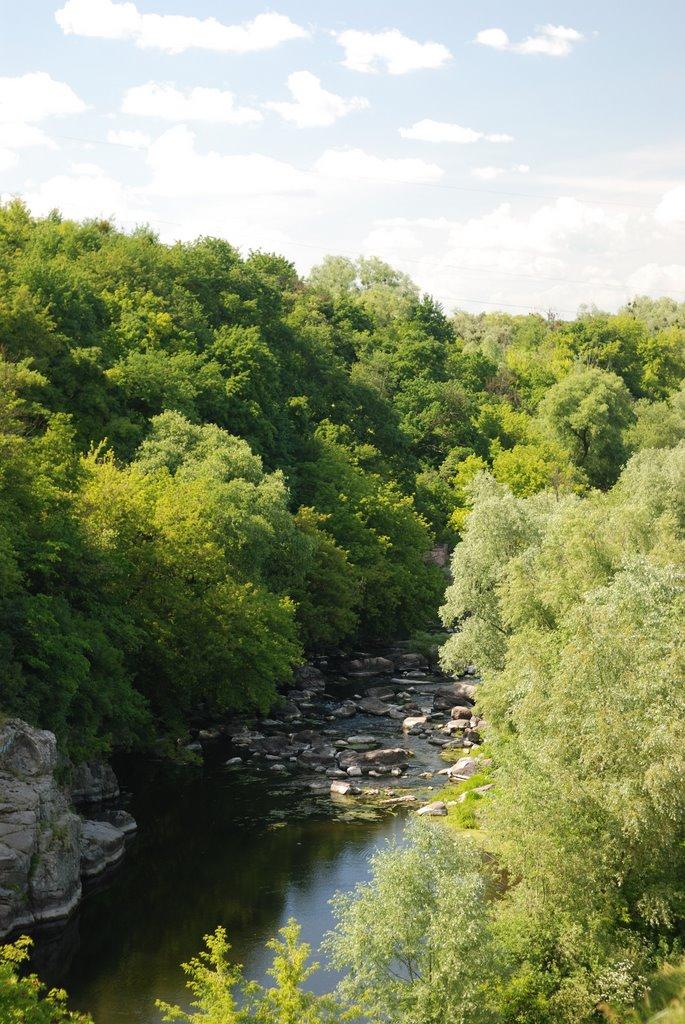 Буки з panoramio.com - Буки