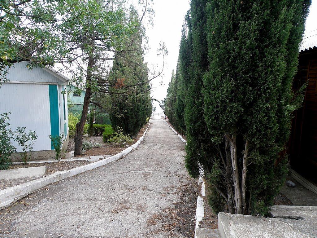 Рибаче з panoramio.com (ч.2) - Rybache