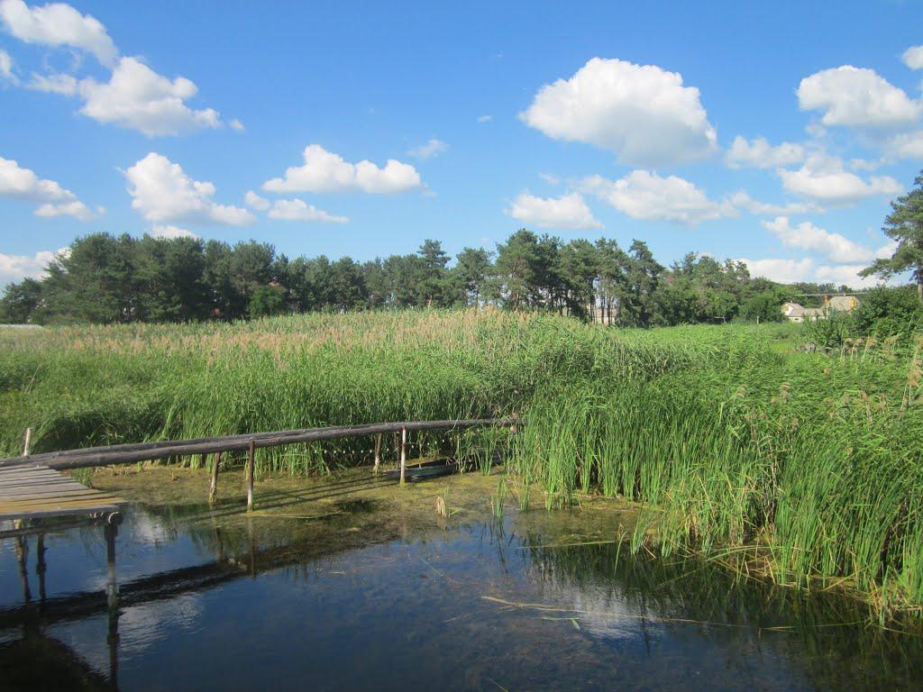 Кругляківка з panoramio.com - Кругляківка