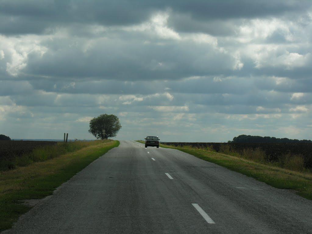 Олександрія з panoramio.com - Александрия
