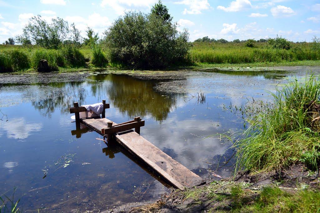 Нові Млини з panoramio.com - Нові Млини