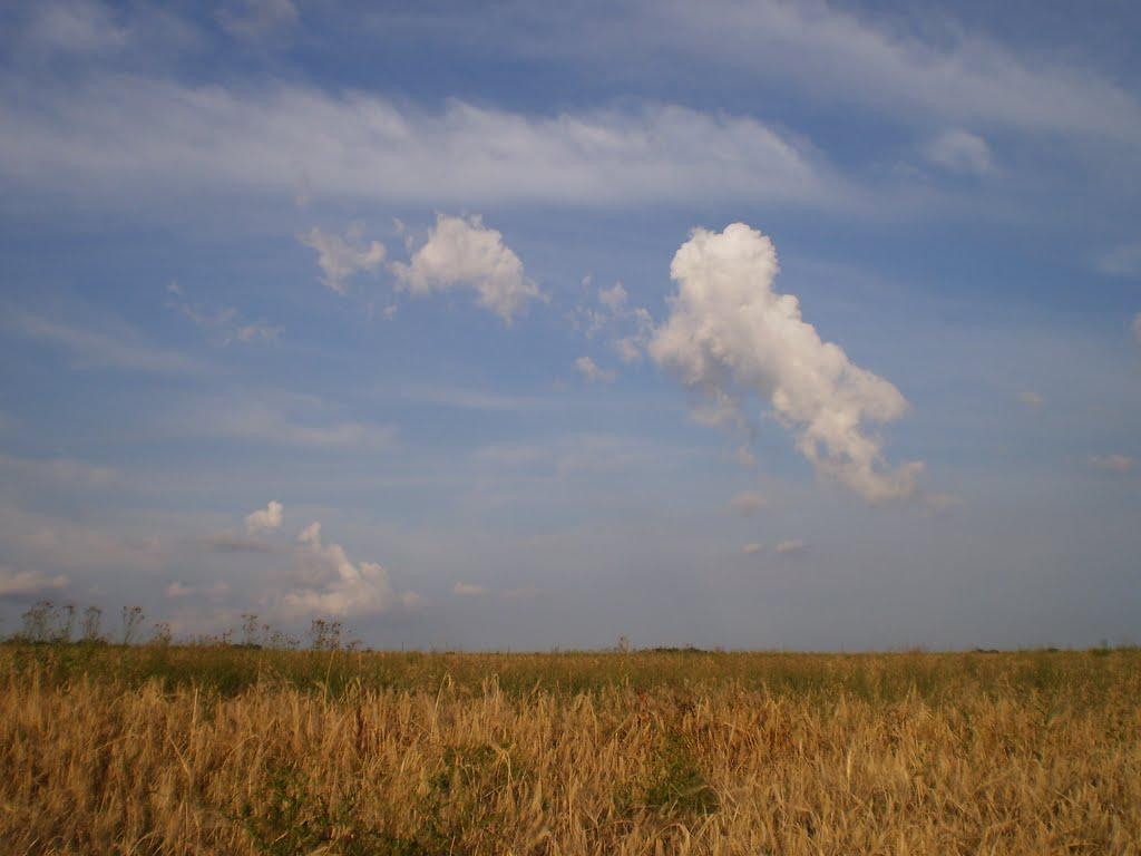 Крижанівка з panoramio.com - Kryzhanivka