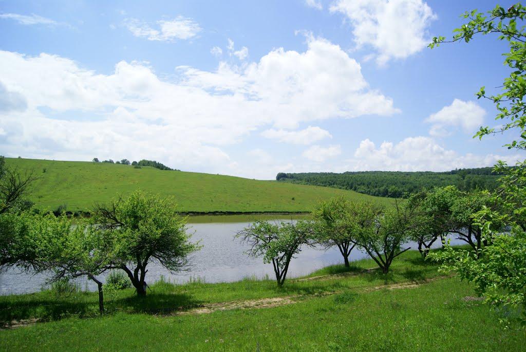 Чижівка з panoramio.com - Чижівка