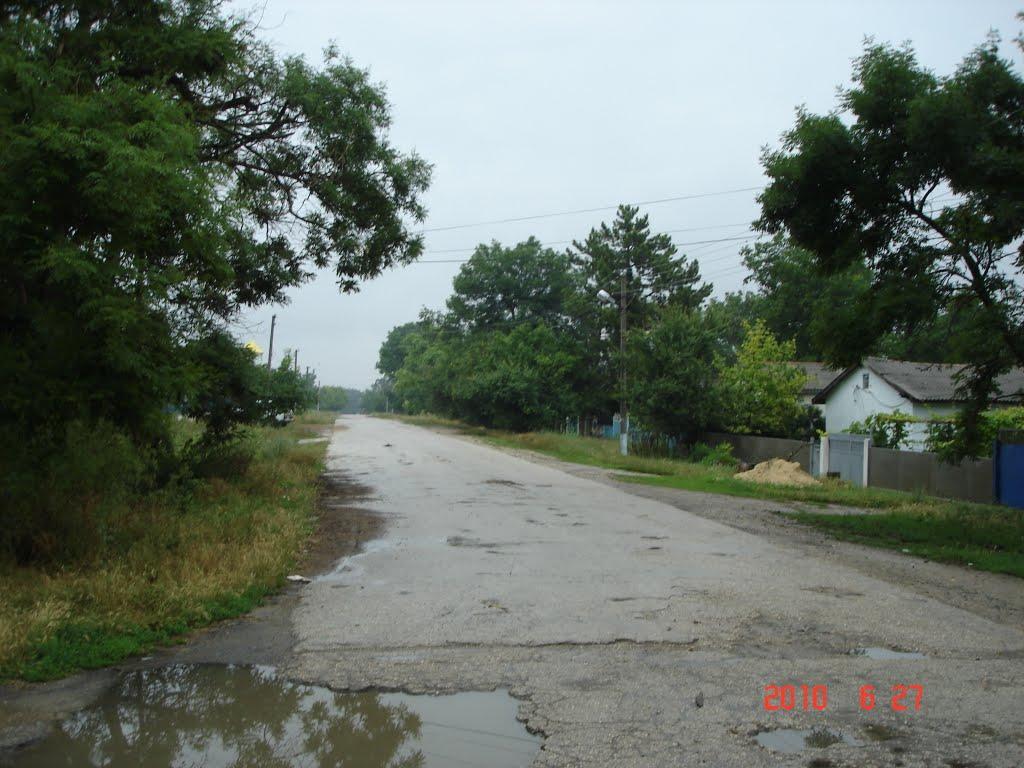 Цвіточне з panoramio.com - Цвіточне