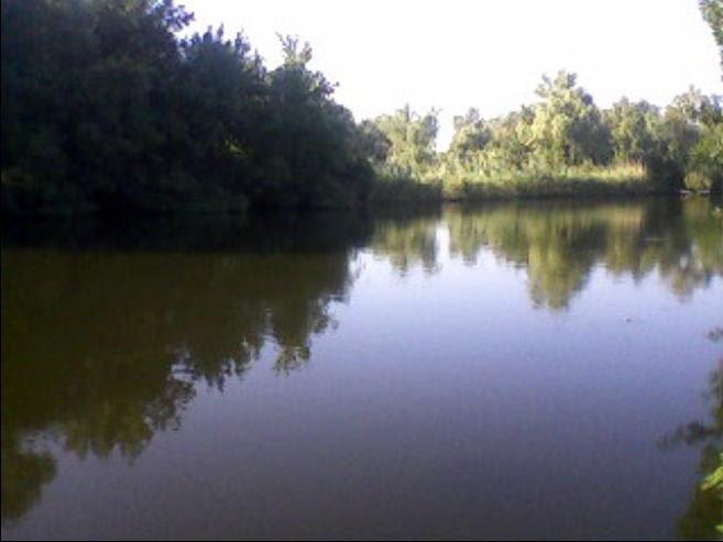 Петровського з panoramio.com - Петровського